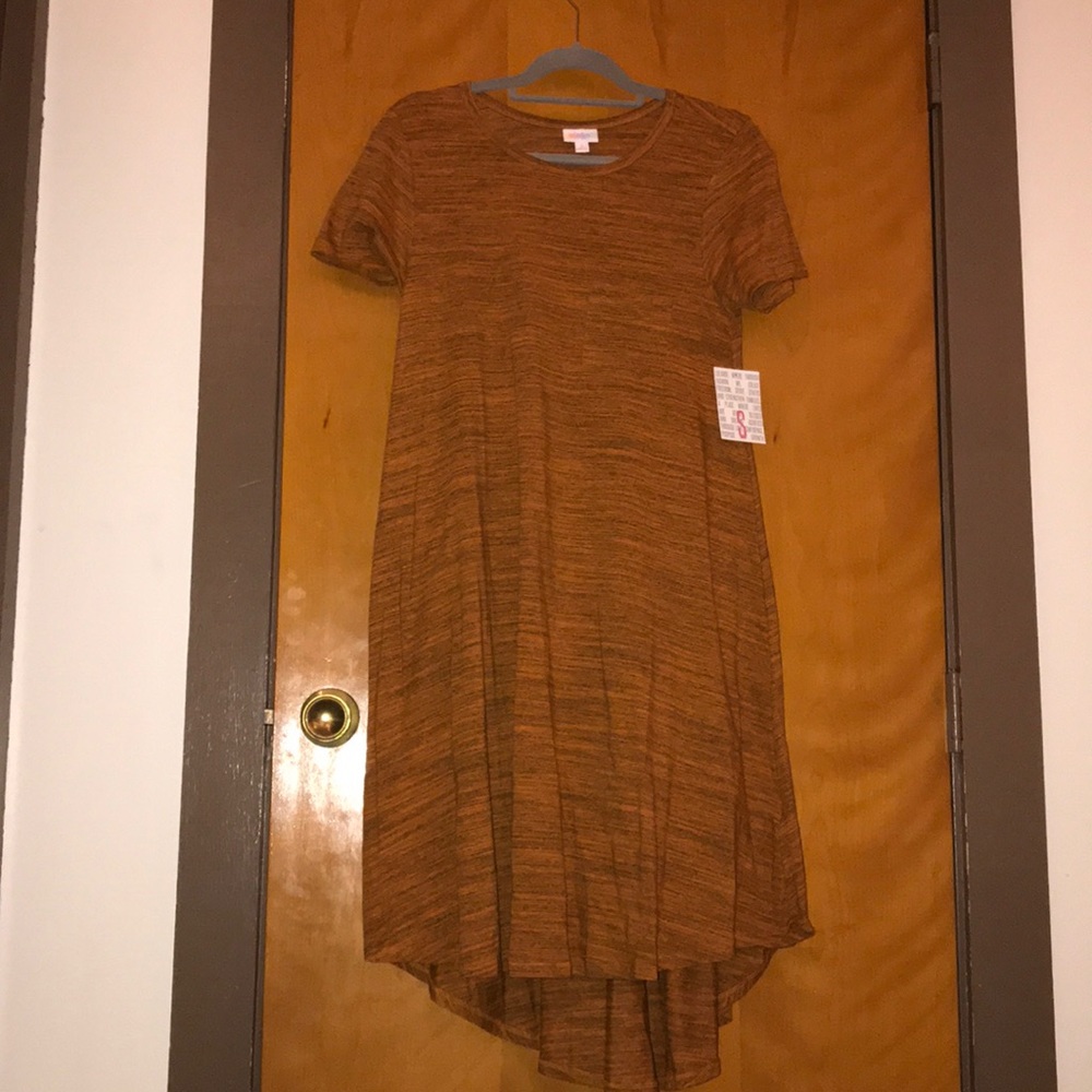 NWT Small LulaRoe Carly